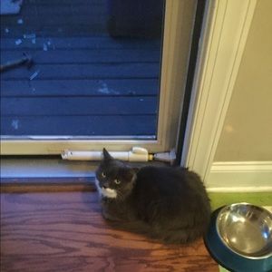 Meet your Posher, Paula